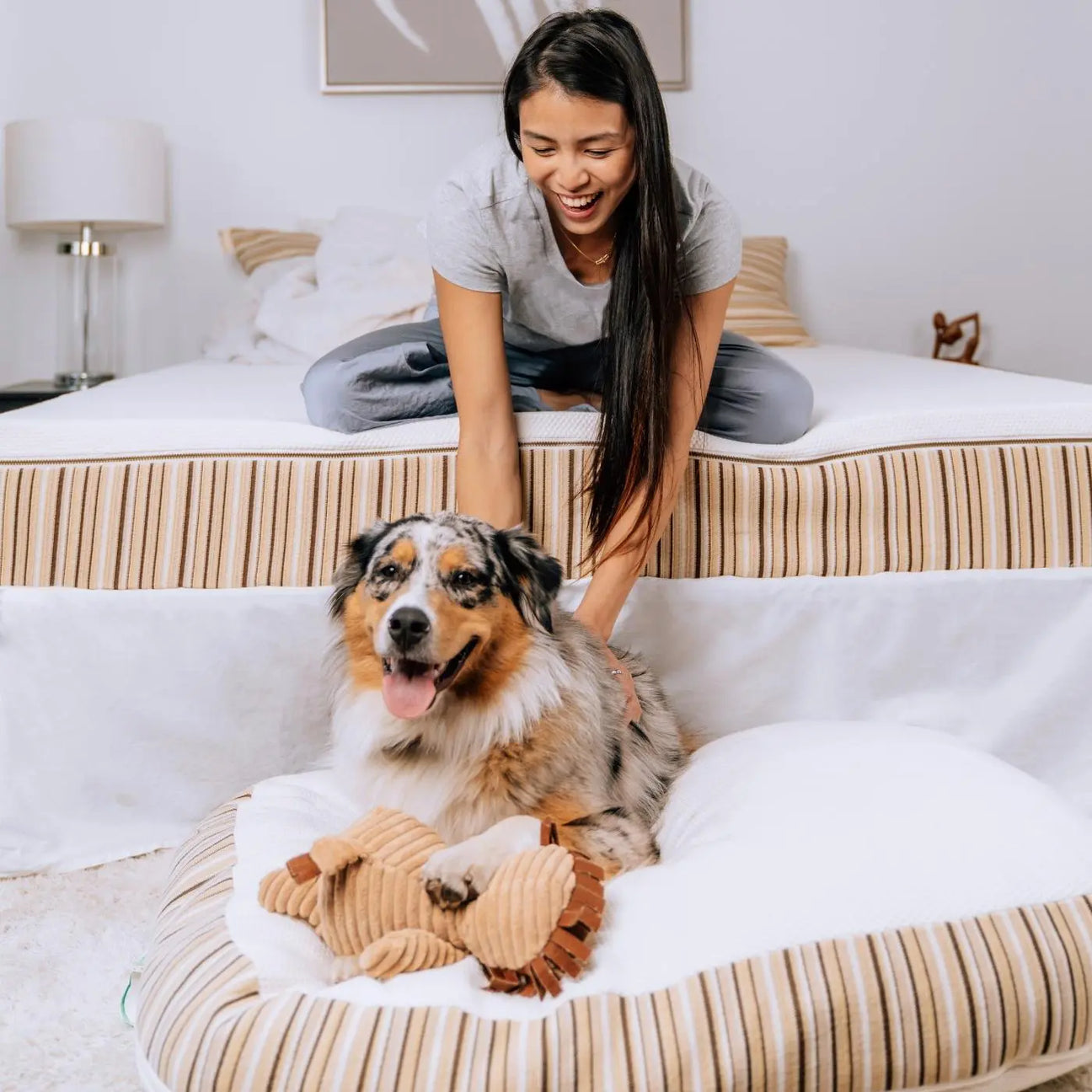 A woman sitting on an Essentia mattress with a dog on an Essentia dog bed under her.